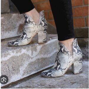 Steve Madden Black and White Ankle Booties